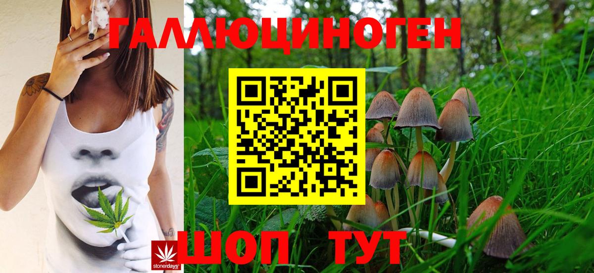 сколько стоит  Вход с VPN  Кондопога  Галлюциногенные грибы ЛСД 